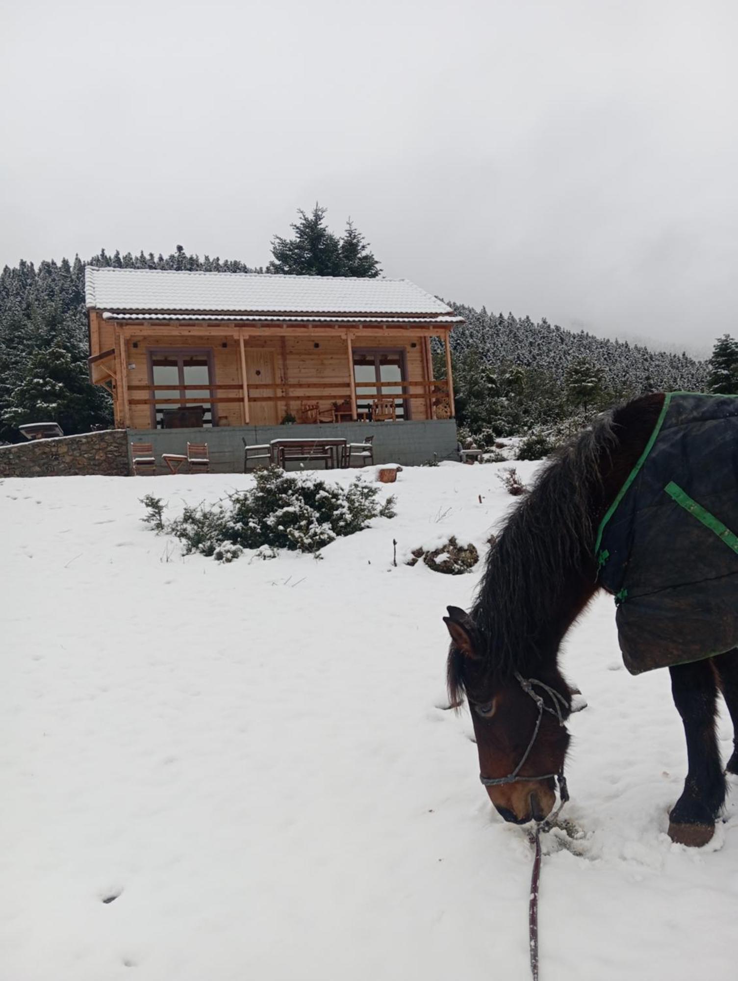 The Farmhouse Vitina Exterior foto
